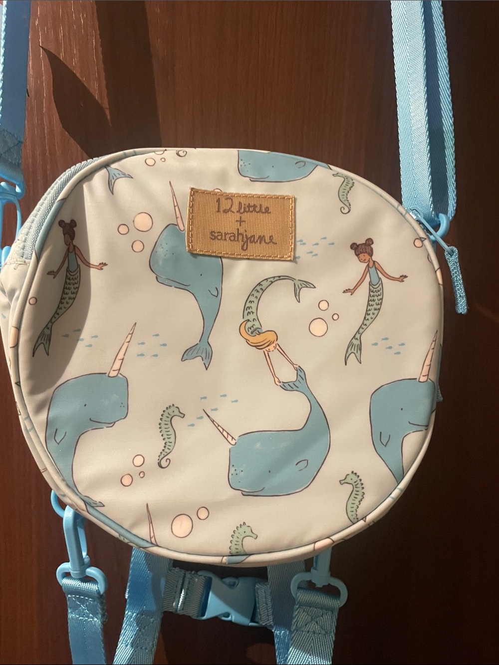 lunch bag (backpack )